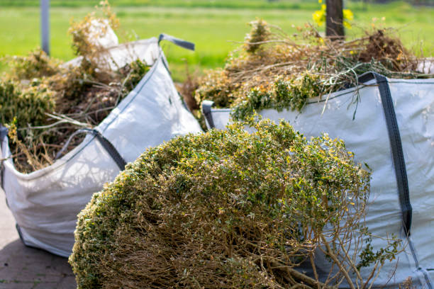 Best Appliance Removal Near Me  in Rushford, MN